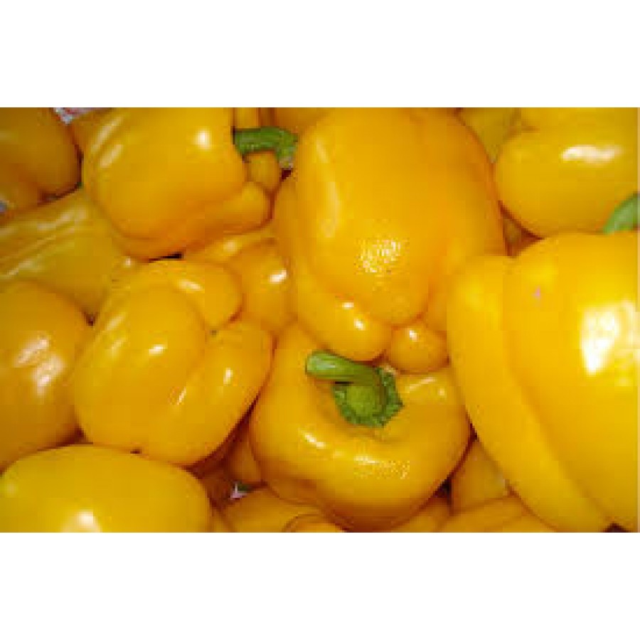 Pepper Sweet Yellow Per kg