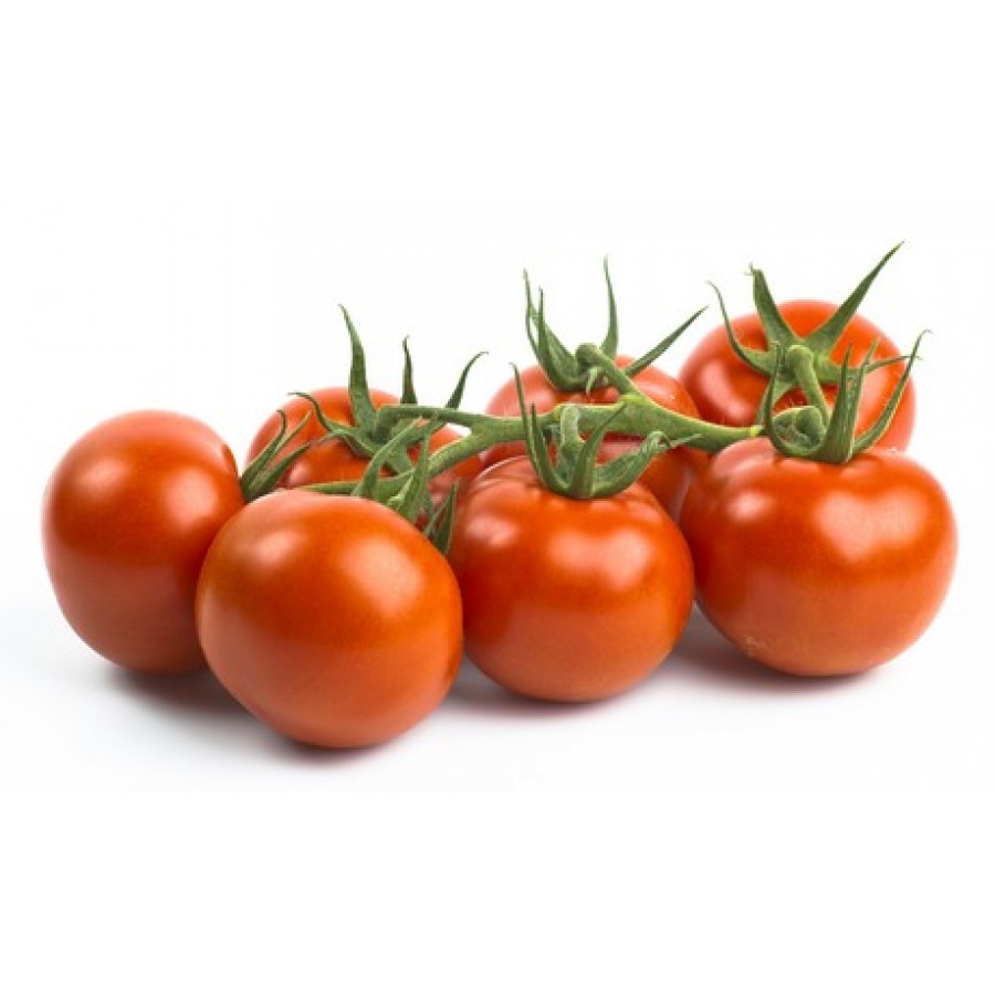 Tomato Holland Per Kg