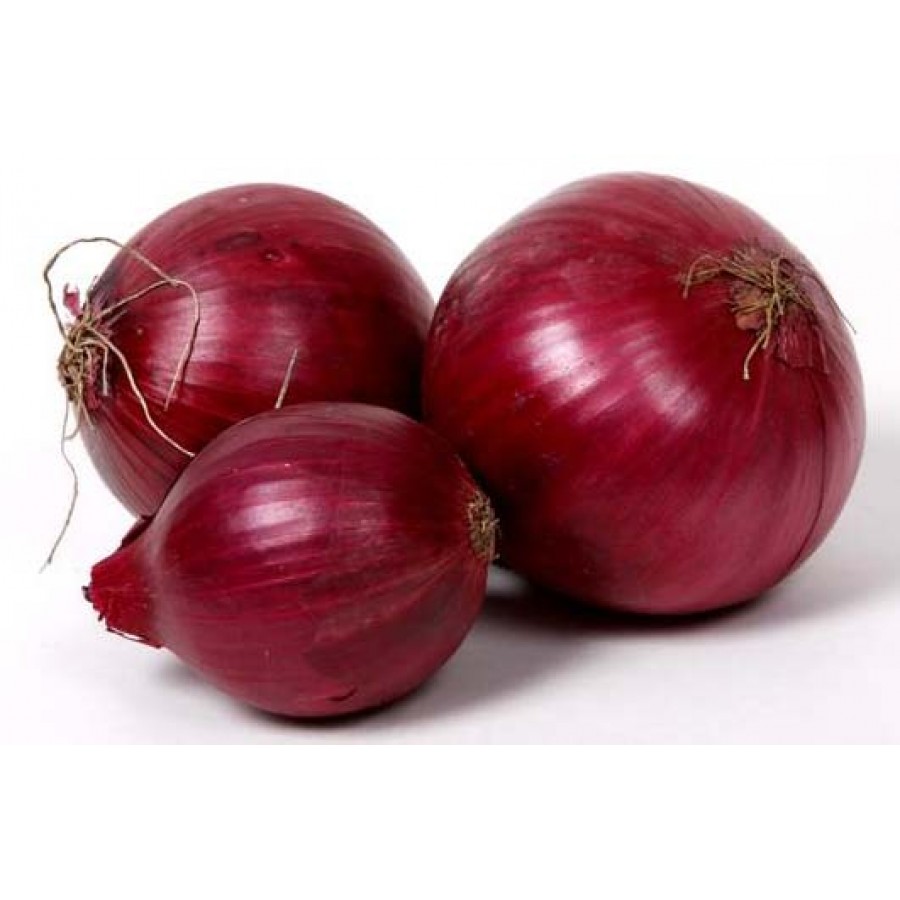 Red Onion Per (4042)