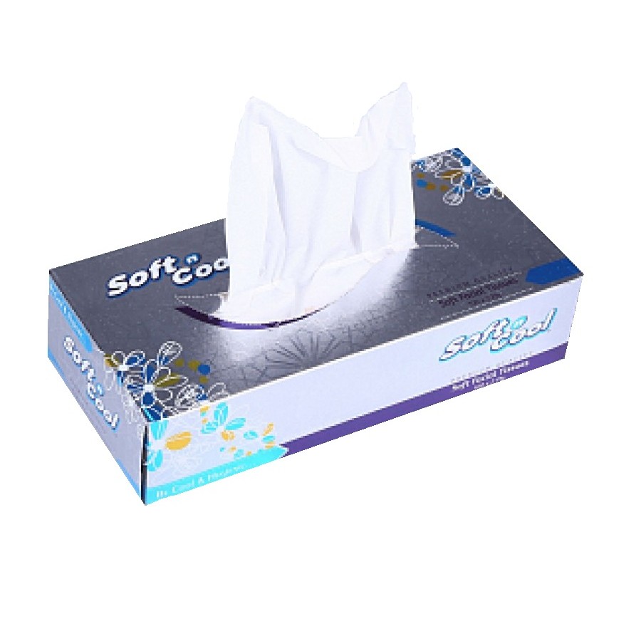 Soft And Cool Facial tissues 100x2ply (6291101711269)